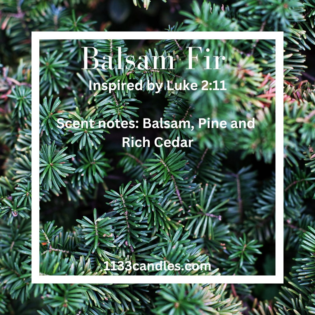Balsam Fir Wax Melts | Christmas Tree Scent
