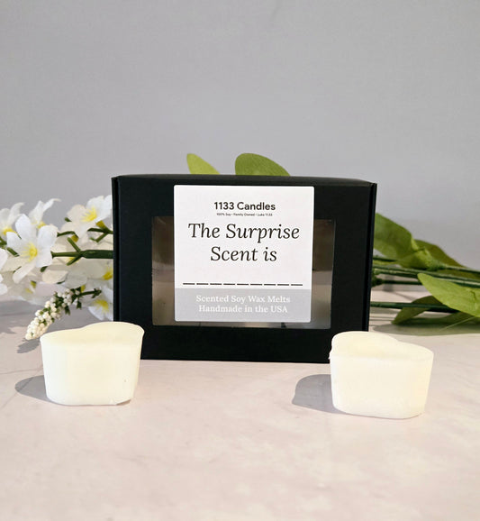Surprise Scented Wax Melts | Soy Wax Melts for Warmers | Choose Your Scent
